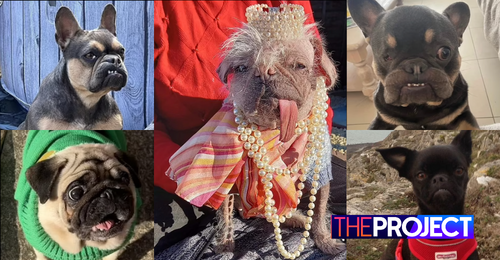 UK's 'Ugly Dog Competition' Set To Crown Its Unconventional Canine Beauty
