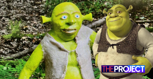 90kg Shrek Statue Stolen In The U.S., Police Launch Investigation Into ...