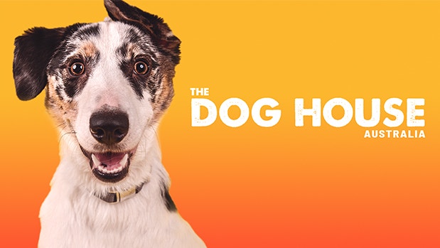 The Dog House Australia - S3 Ep. 5 - Network Ten The Dog House Australia - S3 Ep. 5 - Network Ten