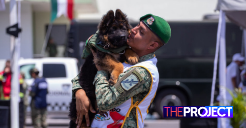 Türkiye  Gifts Mexico A German Shepherd Puppy After Search Dog’s Death