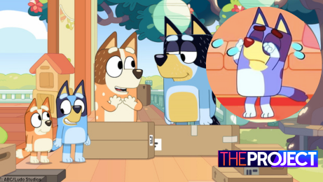 Bluey' sneak peek: Watch Bluey and Bingo adorably freak out