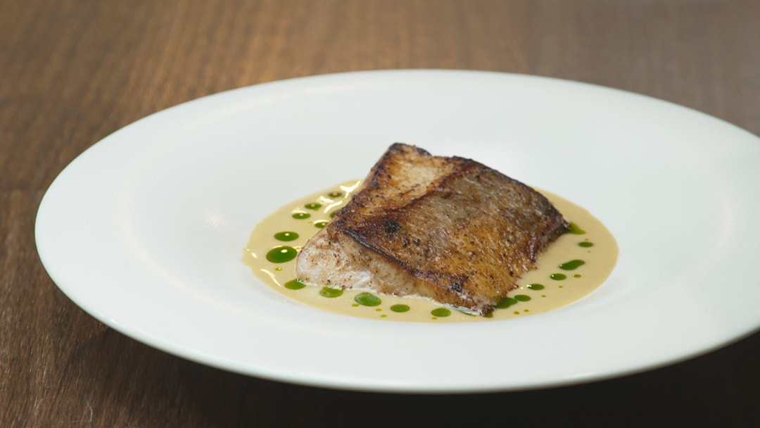 Pan Seared Kingfish with Dijon Sauce and Dill Oil - Network Ten