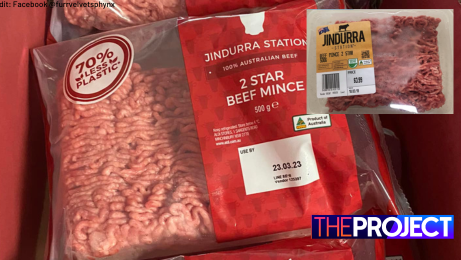 Aldi pet shop mince