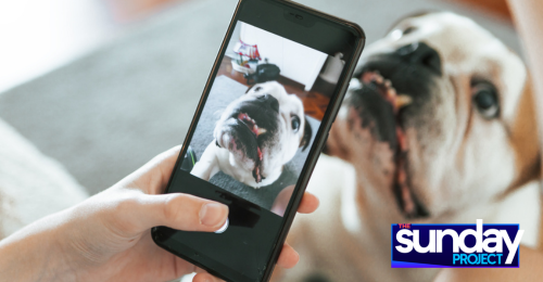 Apple To Permanently Delete Photo Streams Off iPhones In New Update