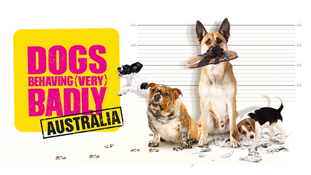 Apply Now For Season 2 Of Dogs Behaving Very Badly Australia
