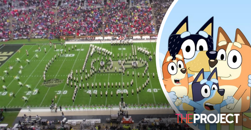 American Marching Band Performs Bluey Theme Song During Halftime Show & It's Incredible