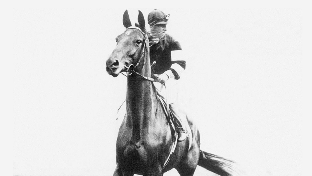The Incomparable Phar Lap