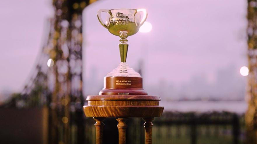 32 Remain In The Hunt For Lexus Melbourne Cup Success - Network Ten