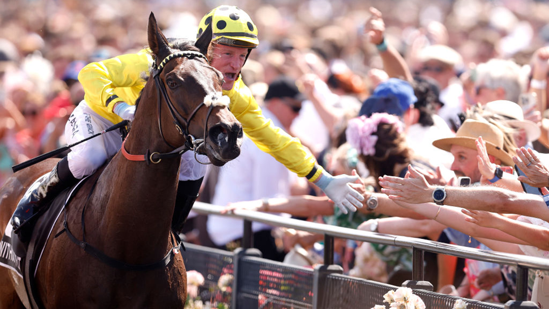 Wrap: Lexus Melbourne Cup Day 2023