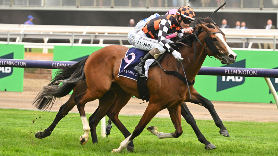 Wrap: TAB Champions Stakes Day 2023