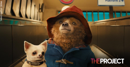 “Paddington: The Musical” Set To Debut In 2025