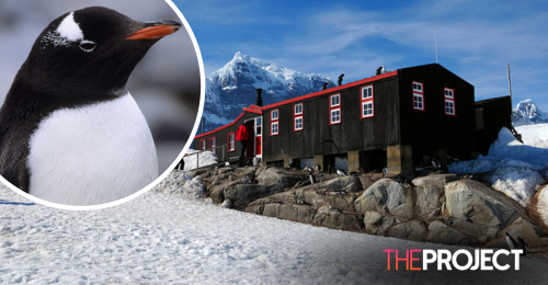 ‘Penguin Post Office’ In Antarctica Hiring New Recruits