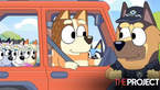 Fans Question Whether Bluey's Mum Chilli Broke The Law In The Season Finale Episode