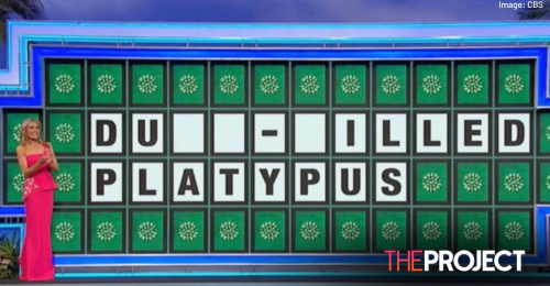 Wheel Of Fortune Contestant Loses Over $10,000 Over Mistake No Aussie Would Make