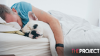 Nearly Half Of Aussie Pet Owners Let Their Furry Friends Share Their Bed