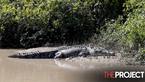 Child Missing After Suspected Crocodile Attack In The Northern Territory