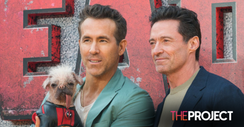 Ugliest Dog Becomes Super Star In Deadpool & Wolverine Movie