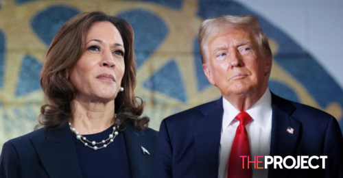 Kamala Harris Leads Donald Trump In Key Swing States