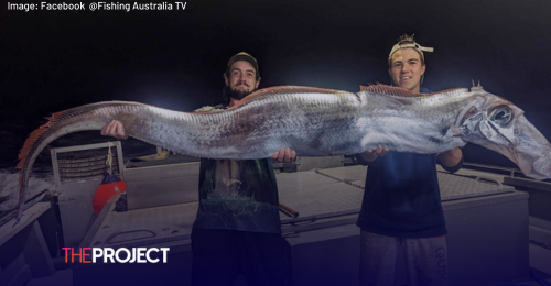 Top End Fisherman Lands Mysterious Giant Oarfish