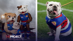 PETA Calls For AFL’s Western Bulldogs To Change Name & Mascot