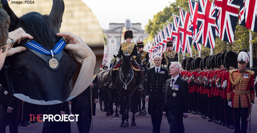 Military Horse That Led Queen’s Coffin Awarded ‘Animals’ OBE’