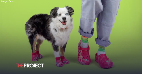 Crocs Dropping New Line Of Pet Footwear