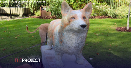 Residents Outraged After Council Spends $68,000 On Corgi Statues