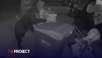 Sneaky Bear Takes Out The Rubbish Like A Human