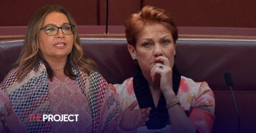 Judge Finds Senator Pauline Hanson’s Tweet To Muslim Senator Was Racist