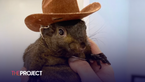 Instagram Famous Squirrel Removed By Authorities