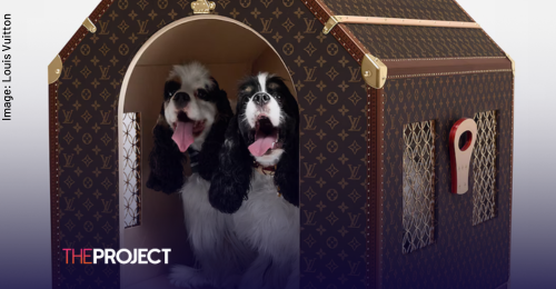 Louis Vuitton Unveils $100,000 Dog Kennel