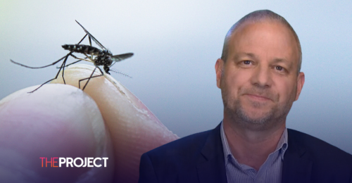 Gene-Edited Mosquitos Could Reduce Mozzie Numbers