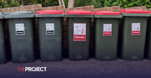 Debates Sparked Over Using Neighbours’ Bins