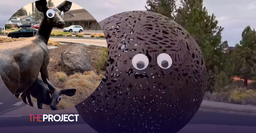 Oregon City Hunting Googly Eye Vandal