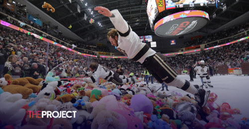 Hershey's Teddy Bear Toss Breaks World-Record