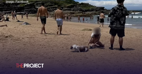 Cat Snapped At Maroubra Beach Leaves Aussies Divided