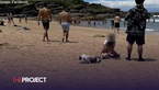 Cat Snapped At Maroubra Beach Leaves Aussies Divided