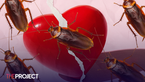 Louisville Nature Centre Will Let You Name A Cockroach After Your Ex For Valentine's Day