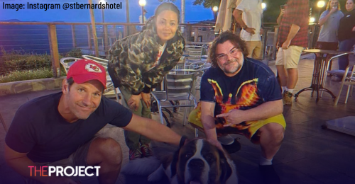 Paul Rudd, Jack Black & Thandiwe Newton Spotted Hanging Out In QLD Pub