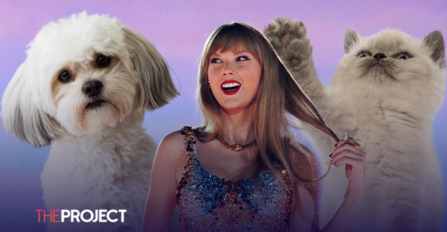 ‘Taylor Swift’ Has Entered Popular Pet Names List