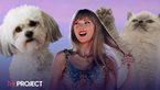 ‘Taylor Swift’ Has Entered Popular Pet Names List