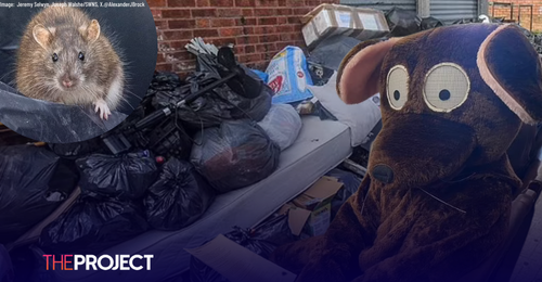 Man Dresses As A Giant Rat To Address Councillors Over Bin Collection Crisis