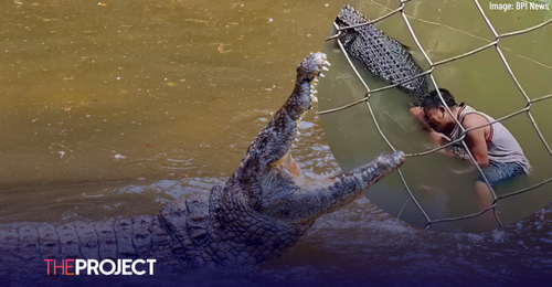 Tourist Learns the Hard Way Crocodile Isn’t a Statue After Jumping Enclosure for Selfie