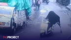 Bull Caught On Camera Riding A Scooter In India