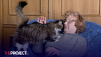 Elderly Swiss Woman In Court For “Systematically Feeding” Neighbour’s Cat