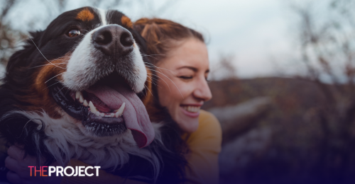 Study Finds Dogs Outrank Every Human Relationship We Have (Except Kids)