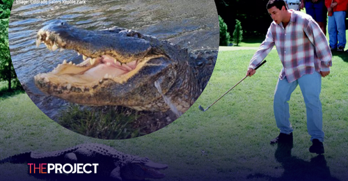 Adam Sandler Pays Tribute To Happy Gilmore Co-Star, Morris The alligator, Who Died Aged 80