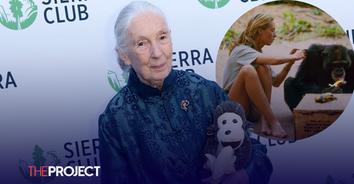 Jane Goodall Talks About Being Objectified By “Jealous Male Scientists” And Accepting The Advantage