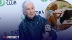 Jane Goodall Talks About Being Objectified By “Jealous Male Scientists” And Accepting The Advantage