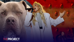 Tones and I Charged After Her American Bulldog Fatally Attacked Another Dog